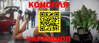 гашишное масло Кингисепп