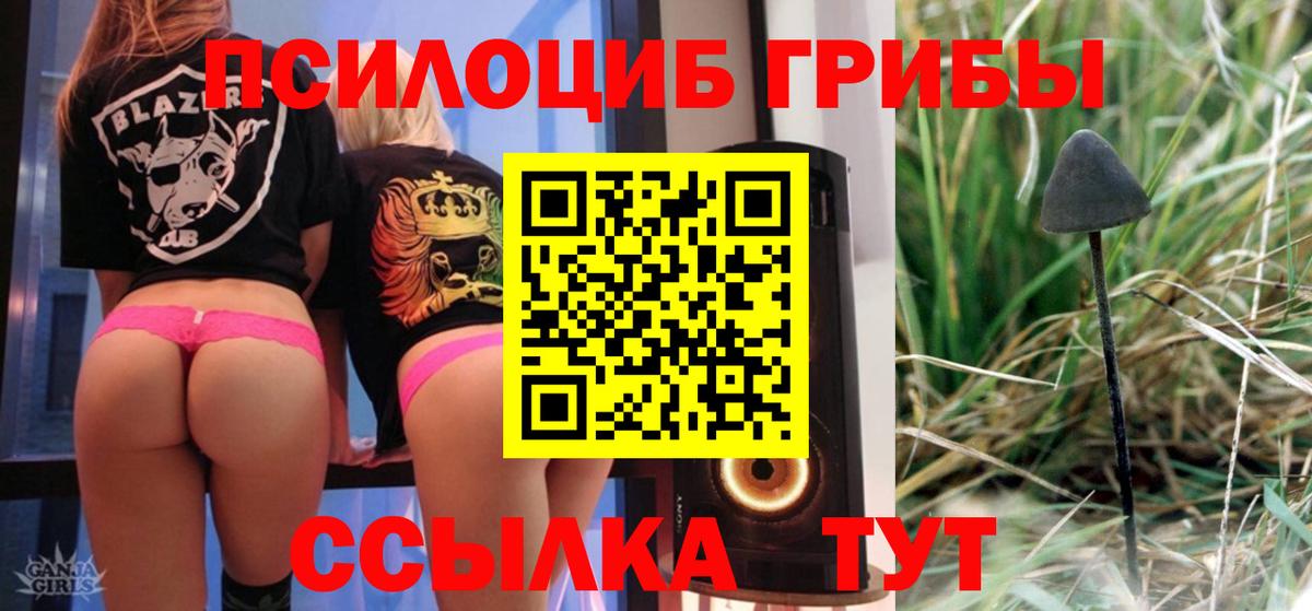 Псилоцибиновые грибы Psilocybine cubensis Дедовск