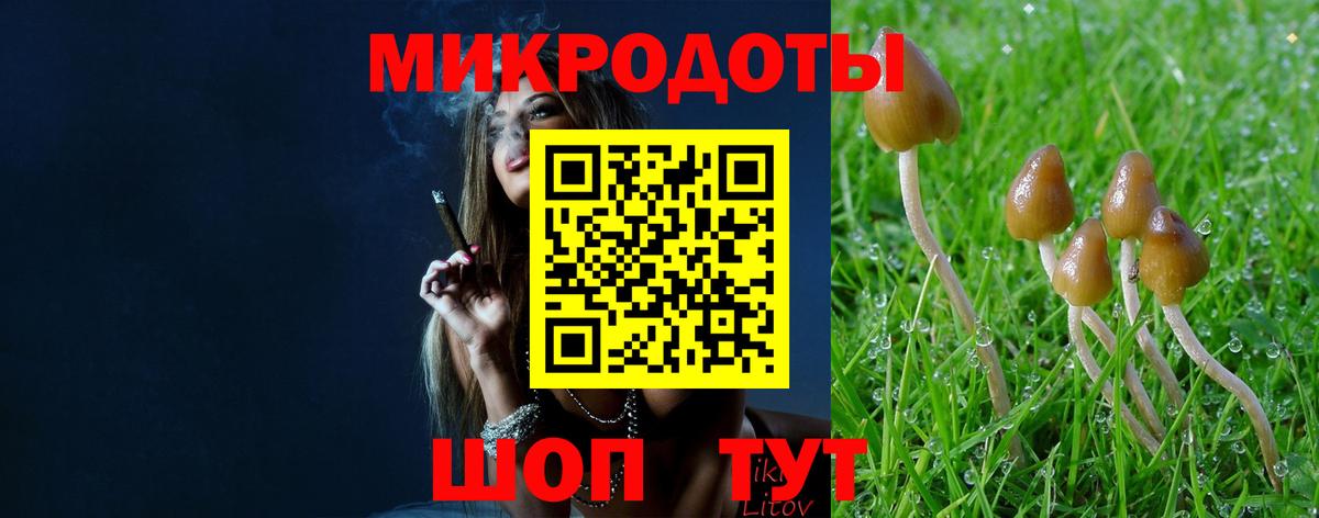 Дедовск  Галлюциногенные грибы Magic Shrooms  Вход с VPN 